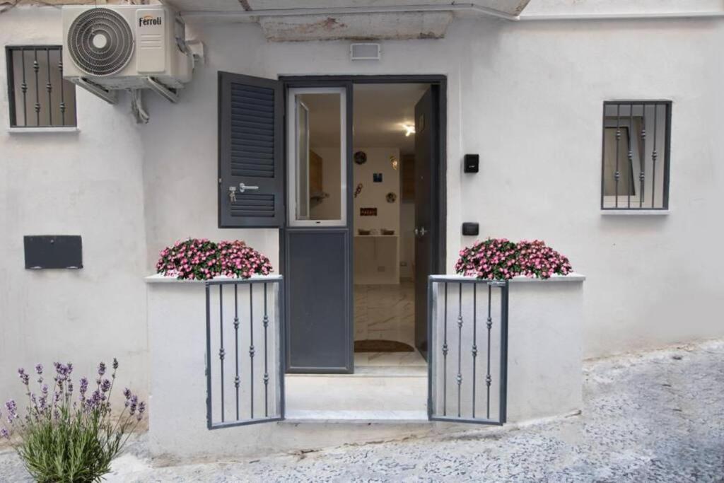 Concordia House Centro Storico Appartement